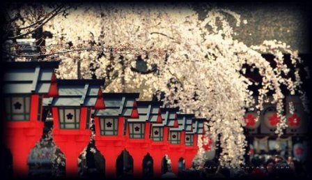 带悲伤色彩的扣扣个性签名