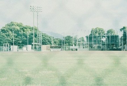 专属学生的校园伤感签名