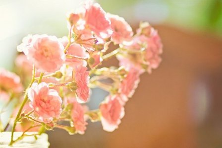 唯美有气质的英文个性签名