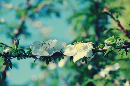 经典励志qq个性签名大全