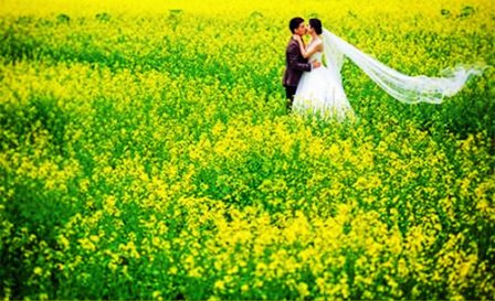 激励人拼搏奋斗的励志签名