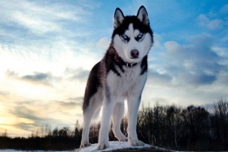 现实伤感霸气个性签名