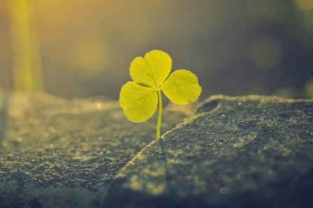 最有个性的男生扣扣个性签名