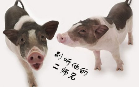 谈钱伤感情的个性签名