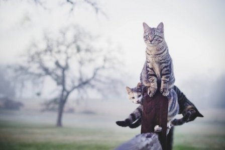 男生超拽潮流范儿霸气个性签名