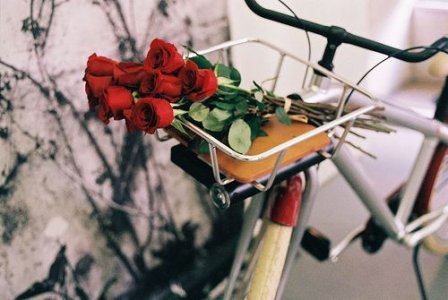 身负血海深仇的微信签名