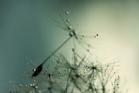 身负血海深仇的微信签名