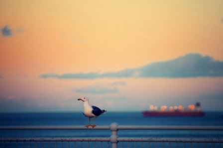 00后个性英文签名