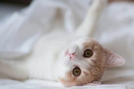 适合做签名的英文句子