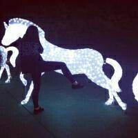 个性搞怪情侣头像一男一女