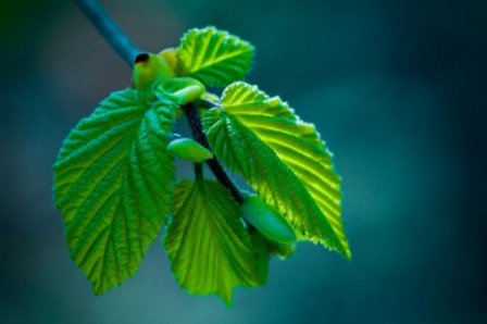 跟随你到天涯海伤感个性签名