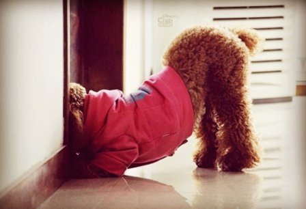 超霸气女生个性签名