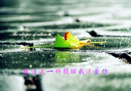 心碎了无痕伤感QQ签名