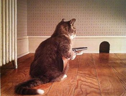 单身女霸气个性签名