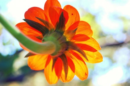 简洁的伤感个性签名