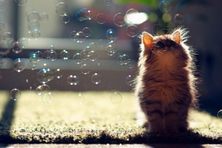 经典有哲理励志签名