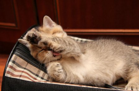 个性签名励志精辟