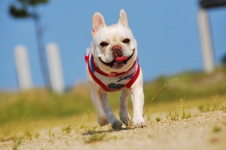 女汉子超霸气签名