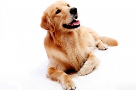 烈酒女生霸气签名