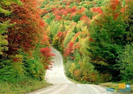 正能量英文个性签名