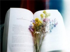 文艺古典的qq男生伤感签名