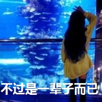 qq姐妹背影头像