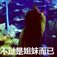 qq姐妹背影头像