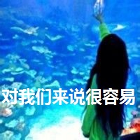 qq姐妹背影头像