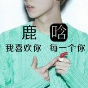 关于鹿晗的文字头像