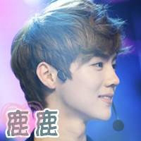 关于鹿晗的文字头像