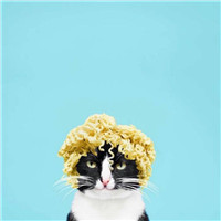 呆萌情侣卡通头像一对