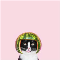 呆萌情侣卡通头像一对