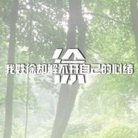 姓氏文字头像