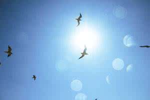 关于友谊的签名