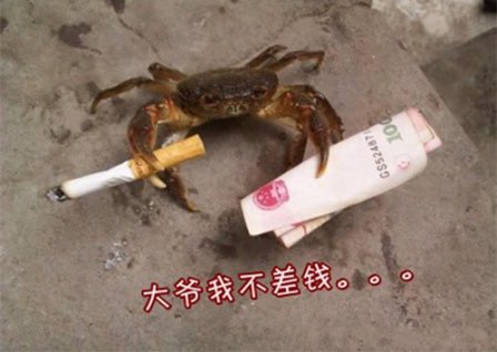 关于被骗的个性签名