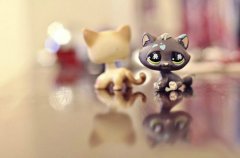 姐弟的qq个性签名