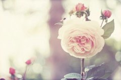 粤语简短的个性签名