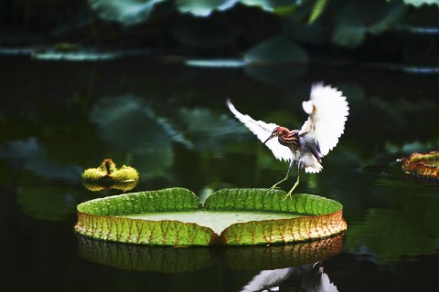 好烦好累的个性签名