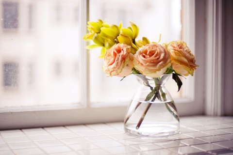 青春的微信个性签名