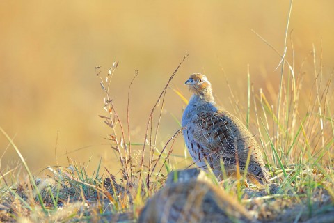 青春的微信个性签名