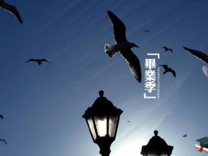 关于友情的个性签名