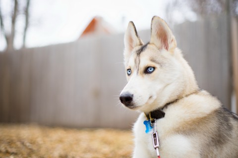 qq搞笑个性签名2018