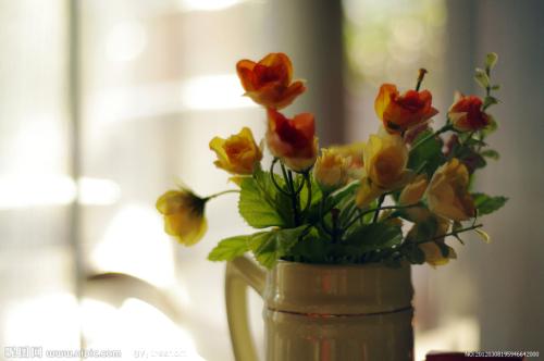 温馨个性签名大全