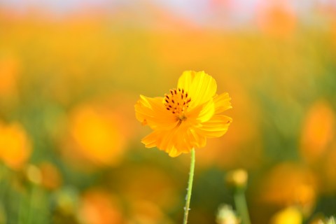 霸气励志的个性签名