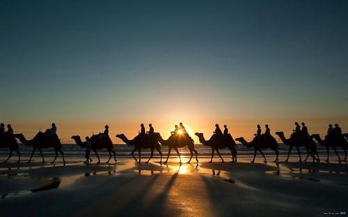 qq个性签名告白