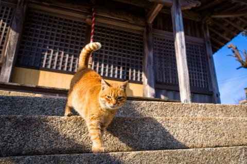 个性签名男生霸气冷酷