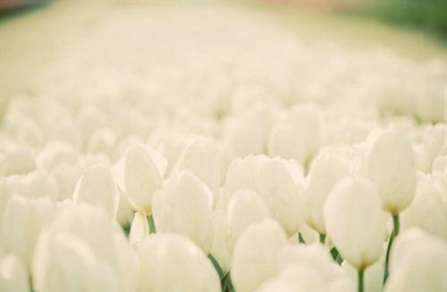 女孩qq个性签名