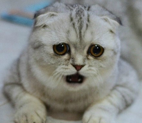 个性签名关于伤感