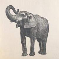 微信可爱女生头像图片