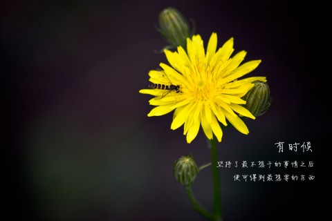 2018年励志个性签名